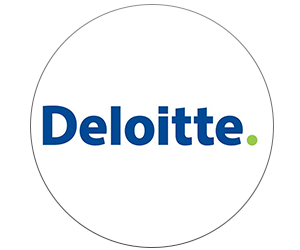 Deloitte Consulting BV